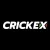 Crickex BDT